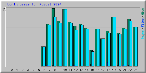 Hourly usage for August 2024