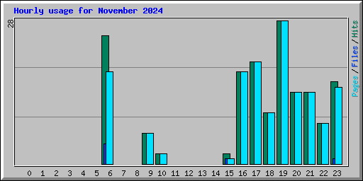 Hourly usage for November 2024