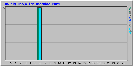 Hourly usage for December 2024