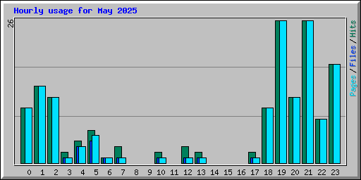 Hourly usage for May 2025