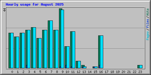 Hourly usage for August 2025