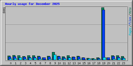 Hourly usage for December 2025
