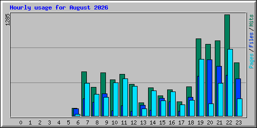 Hourly usage for August 2026
